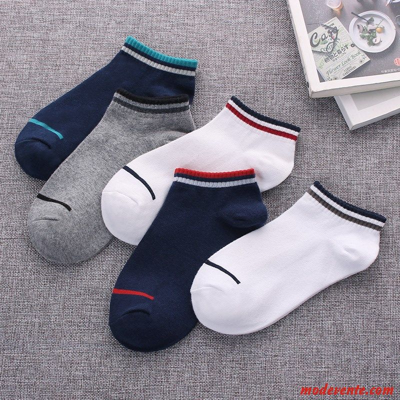 Chaussette Femme Section Mince Étudiant Chaussette Courte Respirant Été Chaussette Basse Coupée Bleu Clair