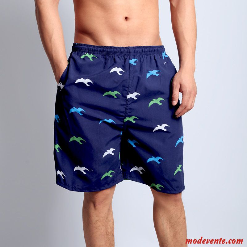 Shorts Homme Tendance Outwear Été Requin Gros Sport Vert