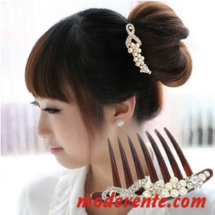 Épingle À Cheveux Femme Tempérament Couvre-chefs Élégant Peigne Distributeur De Plaques Ornements De Cheveux Argent