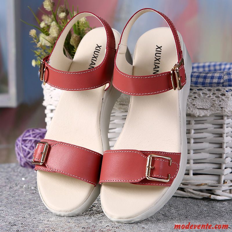 Acheter Chaussures De Ville En Ligne Rose Choquant Marine Mc27085