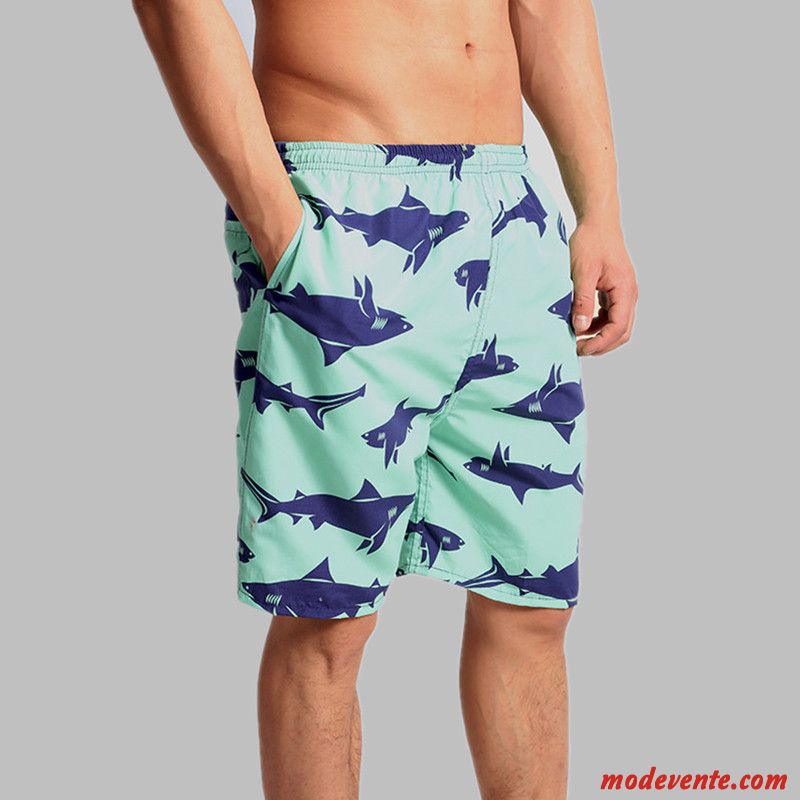 Shorts Homme Tendance Outwear Été Requin Gros Sport Vert